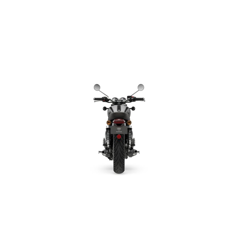 Triumph BONNEVILLE T100 ICON  - 5